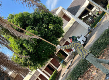 Big Cleaning Day พารามิเตอร์รูปภาพ 23